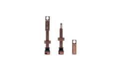 Selcof Tubeless Presta Valves Set -AOI Bike Shop WSSELTV P4